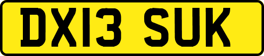 DX13SUK