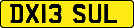 DX13SUL