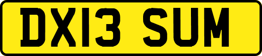 DX13SUM