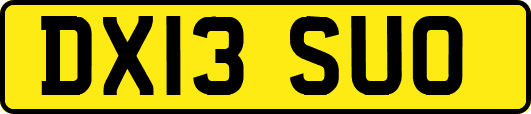 DX13SUO