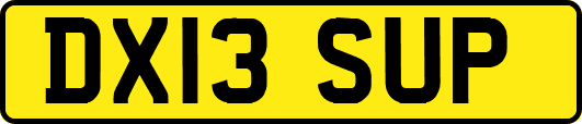 DX13SUP