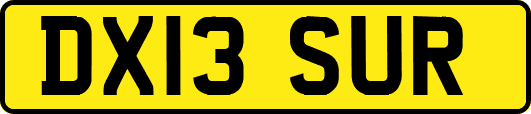 DX13SUR