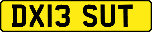 DX13SUT