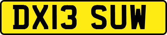 DX13SUW