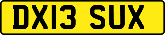 DX13SUX