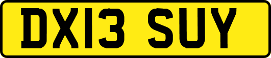 DX13SUY
