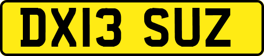 DX13SUZ