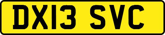 DX13SVC