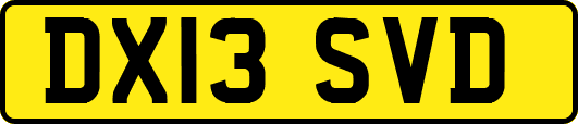 DX13SVD