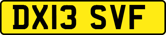 DX13SVF