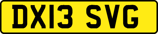 DX13SVG