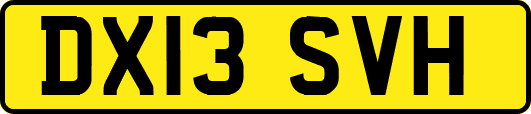 DX13SVH