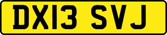 DX13SVJ