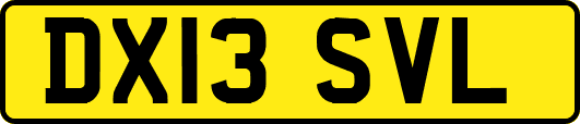 DX13SVL