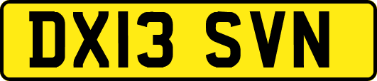 DX13SVN