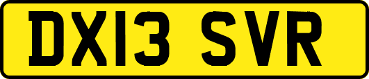 DX13SVR