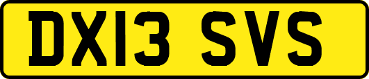 DX13SVS