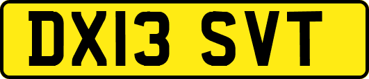 DX13SVT