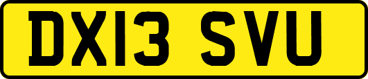 DX13SVU
