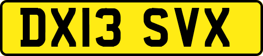 DX13SVX