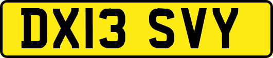 DX13SVY