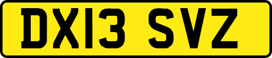 DX13SVZ