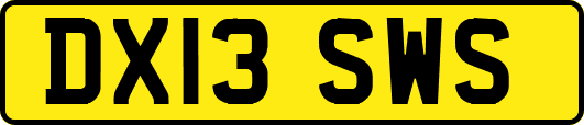 DX13SWS