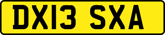 DX13SXA