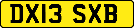 DX13SXB