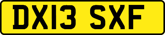 DX13SXF