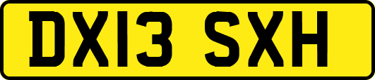 DX13SXH