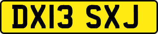 DX13SXJ