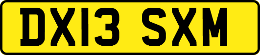 DX13SXM