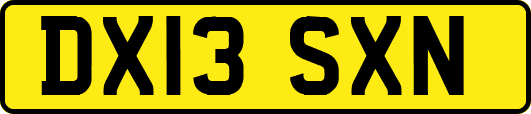 DX13SXN