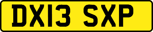 DX13SXP