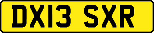 DX13SXR