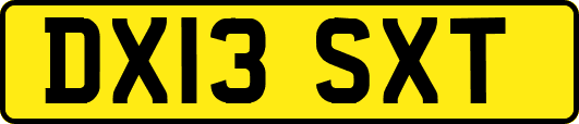 DX13SXT