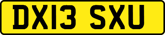 DX13SXU