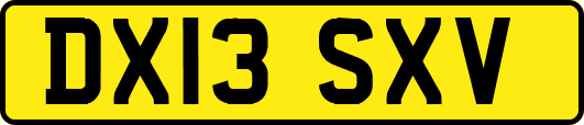 DX13SXV