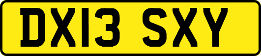 DX13SXY