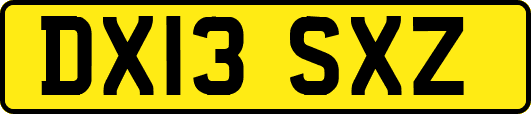 DX13SXZ