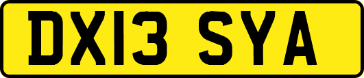 DX13SYA