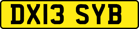 DX13SYB