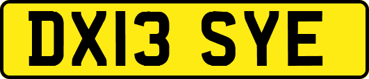 DX13SYE