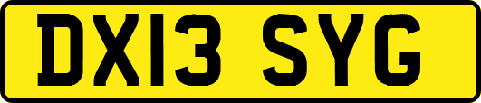 DX13SYG