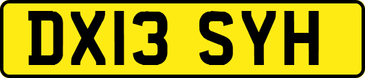 DX13SYH