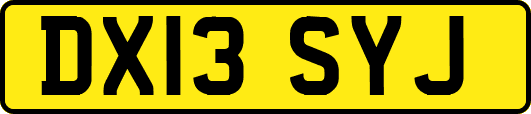 DX13SYJ
