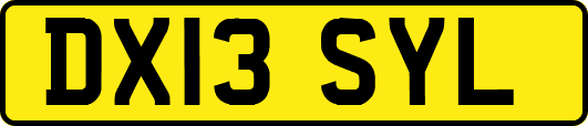 DX13SYL