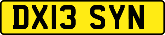 DX13SYN