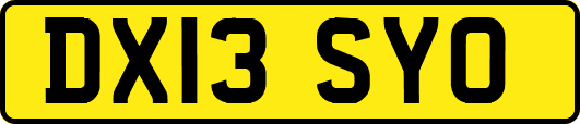 DX13SYO